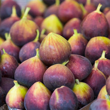 Load image into Gallery viewer, Chicago Hardy Fig Tree - USDA Organic