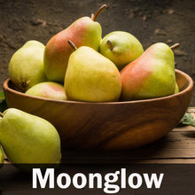 Load image into Gallery viewer, 4-in-1 Pear Tree